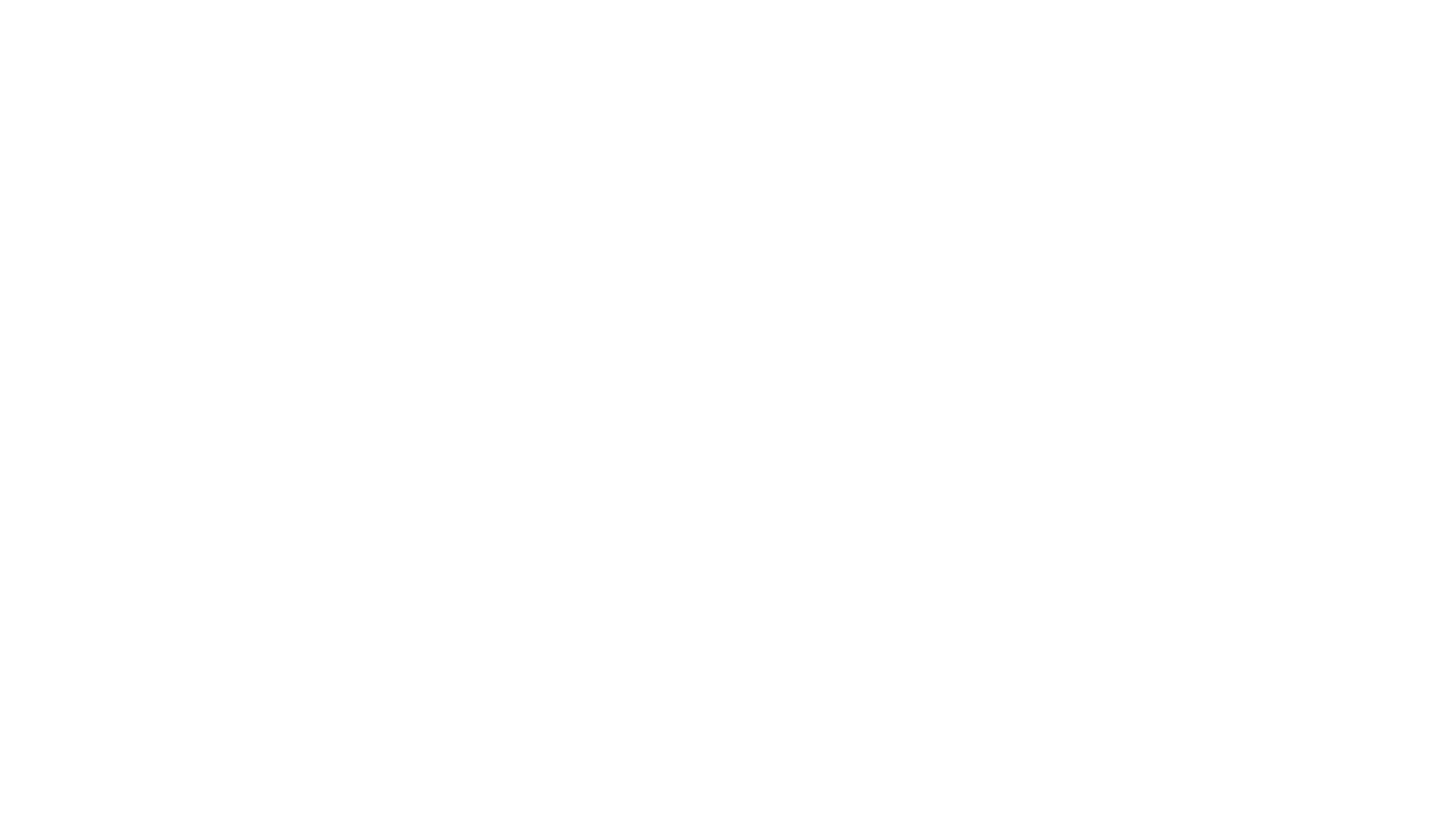 Fromm Pro – professionelle Salon- und Hairstyling-Werkzeuge für Friseure