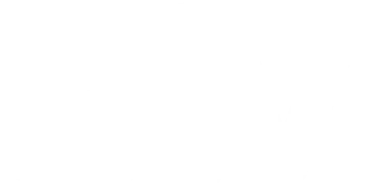 ntv logo